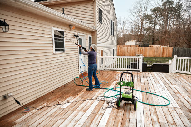 Best House Pressure Washing  in Meadview, AZ