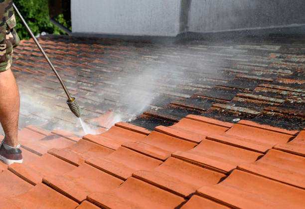 Best Fence Pressure Washing  in Meadview, AZ