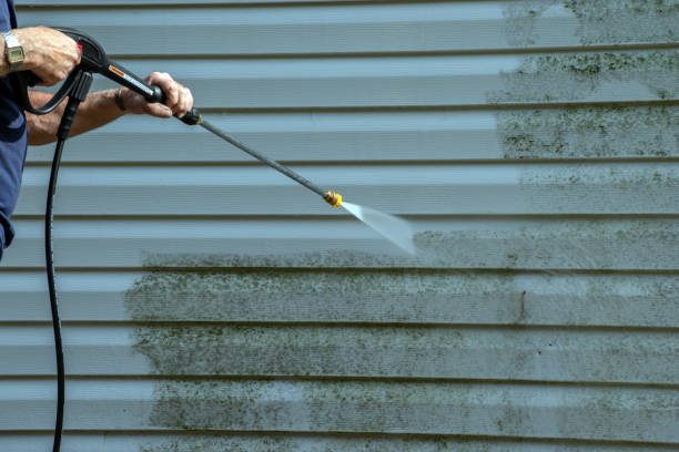 Best Roof Pressure Washing  in Meadview, AZ