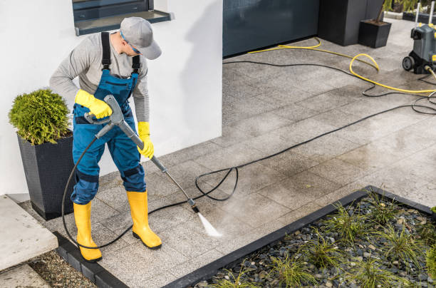 Best Best Pressure Washing Companies  in Meadview, AZ